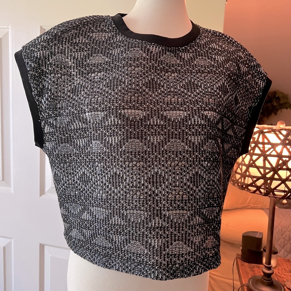 Zara boxy top - mesh-style fabric w/silver threading & cotton collar & sleeves